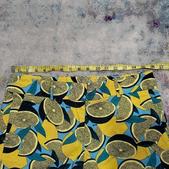 Ann Taylor Lemon Shorts Size 6 - Picture 5 of 11